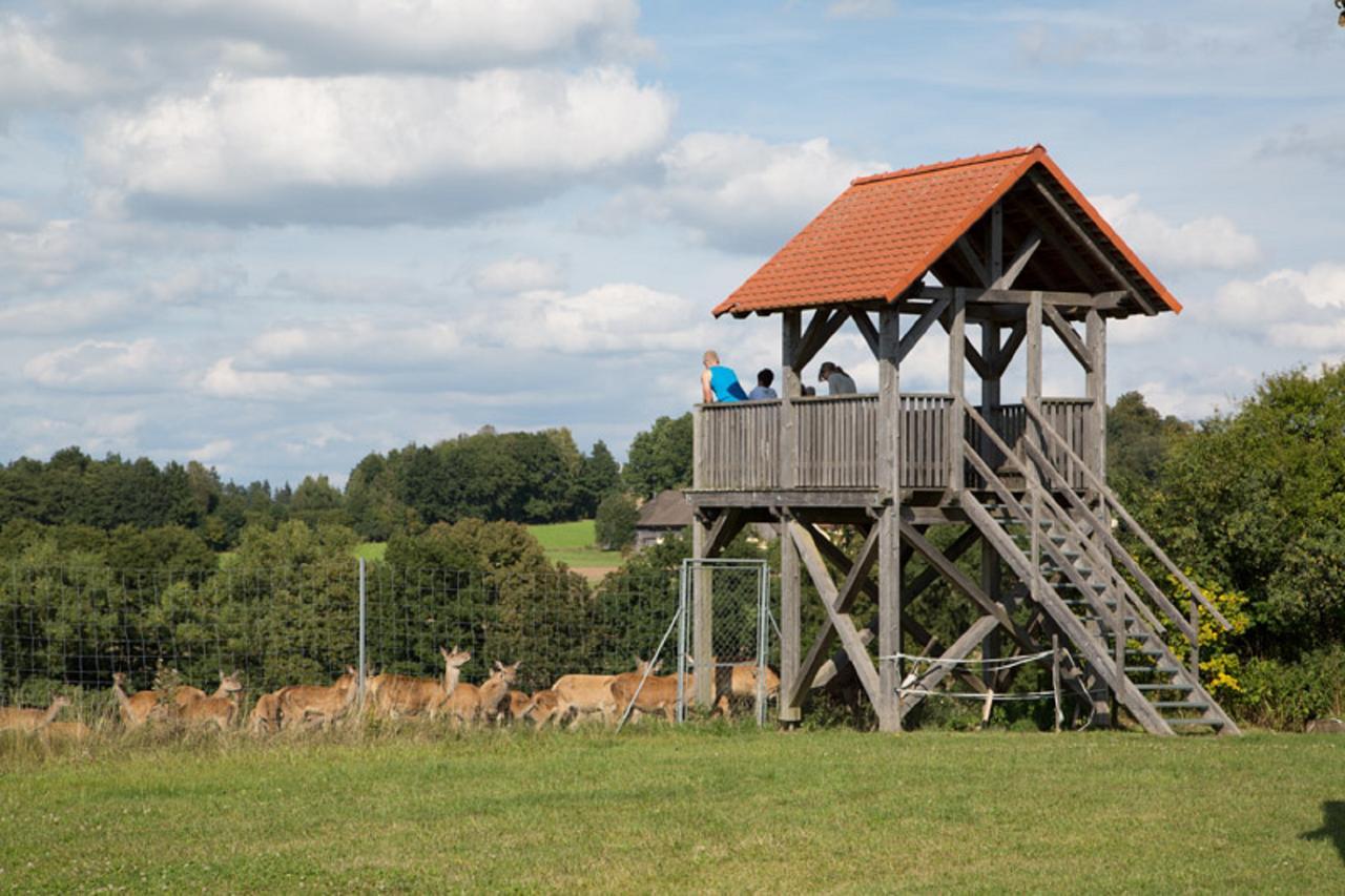 Scheidlerhof Apartman Theisseil Kültér fotó